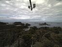 ./images/calvert/lookout/20210517/lookout20210517_102002.jpg