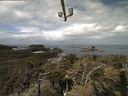 ./images/calvert/lookout/20210517/lookout20210517_105501.jpg