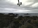 ./images/calvert/lookout/20210517/lookout20210517_142501.jpg
