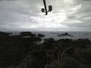 ./images/calvert/lookout/20210517/lookout20210517_144501.jpg