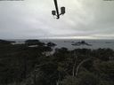 ./images/calvert/lookout/20210517/lookout20210517_154002.jpg
