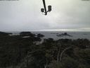./images/calvert/lookout/20210517/lookout20210517_155002.jpg