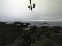./images/calvert/lookout/20210517/lookout20210517_155502.jpg