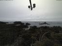./images/calvert/lookout/20210517/lookout20210517_161002.jpg
