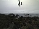 ./images/calvert/lookout/20210517/lookout20210517_162002.jpg