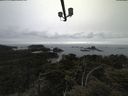 ./images/calvert/lookout/20210517/lookout20210517_163501.jpg