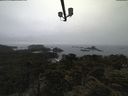 ./images/calvert/lookout/20210517/lookout20210517_184501.jpg