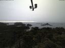 ./images/calvert/lookout/20210517/lookout20210517_200502.jpg