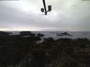 ./images/calvert/lookout/20210517/lookout20210517_210501.jpg