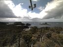 ./images/calvert/lookout/20210518/lookout20210518_141501.jpg