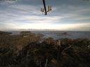 ./images/calvert/lookout/20210519/lookout20210519_070501.jpg