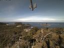 ./images/calvert/lookout/20210519/lookout20210519_101002.jpg