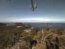 ./images/calvert/lookout/20210519/lookout20210519_104002.jpg