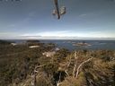 ./images/calvert/lookout/20210519/lookout20210519_110501.jpg