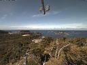 ./images/calvert/lookout/20210519/lookout20210519_112001.jpg
