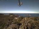 ./images/calvert/lookout/20210520/lookout20210520_095002.jpg