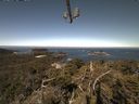 ./images/calvert/lookout/20210520/lookout20210520_095502.jpg
