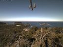 ./images/calvert/lookout/20210520/lookout20210520_100502.jpg