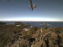 ./images/calvert/lookout/20210520/lookout20210520_101001.jpg