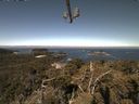 ./images/calvert/lookout/20210520/lookout20210520_101501.jpg