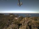 ./images/calvert/lookout/20210520/lookout20210520_102001.jpg