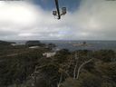 ./images/calvert/lookout/20210520/lookout20210520_113502.jpg
