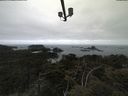 ./images/calvert/lookout/20210521/lookout20210521_092501.jpg