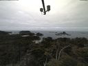 ./images/calvert/lookout/20210521/lookout20210521_105502.jpg