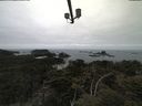 ./images/calvert/lookout/20210521/lookout20210521_110501.jpg