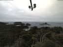 ./images/calvert/lookout/20210521/lookout20210521_112001.jpg