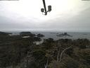 ./images/calvert/lookout/20210521/lookout20210521_112501.jpg