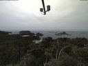 ./images/calvert/lookout/20210521/lookout20210521_113501.jpg