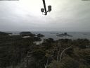 ./images/calvert/lookout/20210521/lookout20210521_114001.jpg