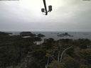 ./images/calvert/lookout/20210521/lookout20210521_115001.jpg