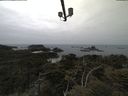 ./images/calvert/lookout/20210521/lookout20210521_121002.jpg