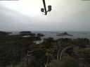 ./images/calvert/lookout/20210521/lookout20210521_121501.jpg