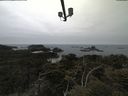 ./images/calvert/lookout/20210521/lookout20210521_122501.jpg