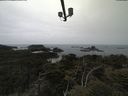 ./images/calvert/lookout/20210521/lookout20210521_123502.jpg