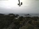 ./images/calvert/lookout/20210521/lookout20210521_125002.jpg