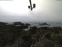 ./images/calvert/lookout/20210521/lookout20210521_141002.jpg