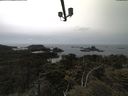 ./images/calvert/lookout/20210521/lookout20210521_145002.jpg