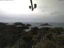 ./images/calvert/lookout/20210521/lookout20210521_145502.jpg