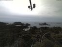 ./images/calvert/lookout/20210521/lookout20210521_162502.jpg