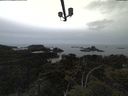 ./images/calvert/lookout/20210521/lookout20210521_163502.jpg