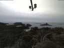 ./images/calvert/lookout/20210521/lookout20210521_165501.jpg