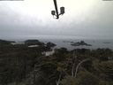 ./images/calvert/lookout/20210521/lookout20210521_171001.jpg