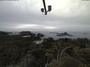 ./images/calvert/lookout/20210521/lookout20210521_180002.jpg