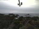 ./images/calvert/lookout/20210521/lookout20210521_195001.jpg