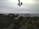 ./images/calvert/lookout/20210521/lookout20210521_200502.jpg