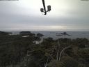 ./images/calvert/lookout/20210521/lookout20210521_201502.jpg